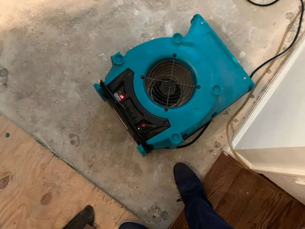 Air mover drying subfloor during Commercial Water Damage Restoration in Broadview Park